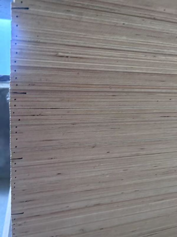 4d27d41a-b8f5-4d30-8258-bcbed4879ed8 1.jpg